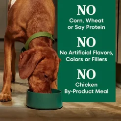 Nutro Natural Choice Beef & Brown Rice Adult Dry Dog Food 4.5-lb