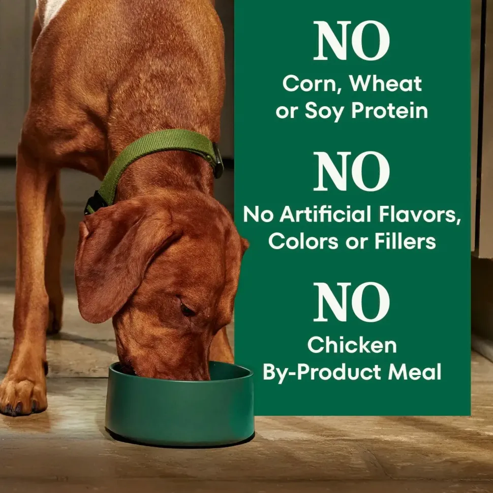 Nutro Natural Choice Beef & Brown Rice Adult Dry Dog Food 4.5-lb