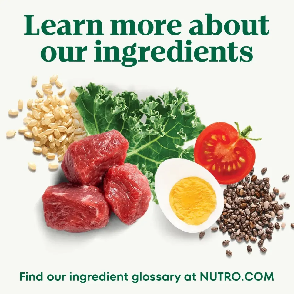 Nutro Natural Choice Chicken & Brown Rice Large Breed Adult Dry Dog Food 30-lb