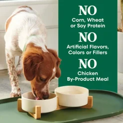 Nutro Natural Choice Chicken & Brown Rice Small Breed Senior Dry Dog Food 5-lb