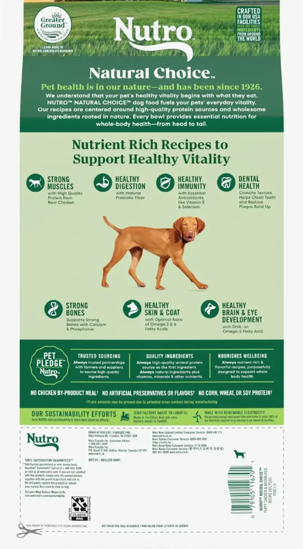 Nutro Natural Choice Chicken & Brown Rice Puppy Dry Food 5-lb