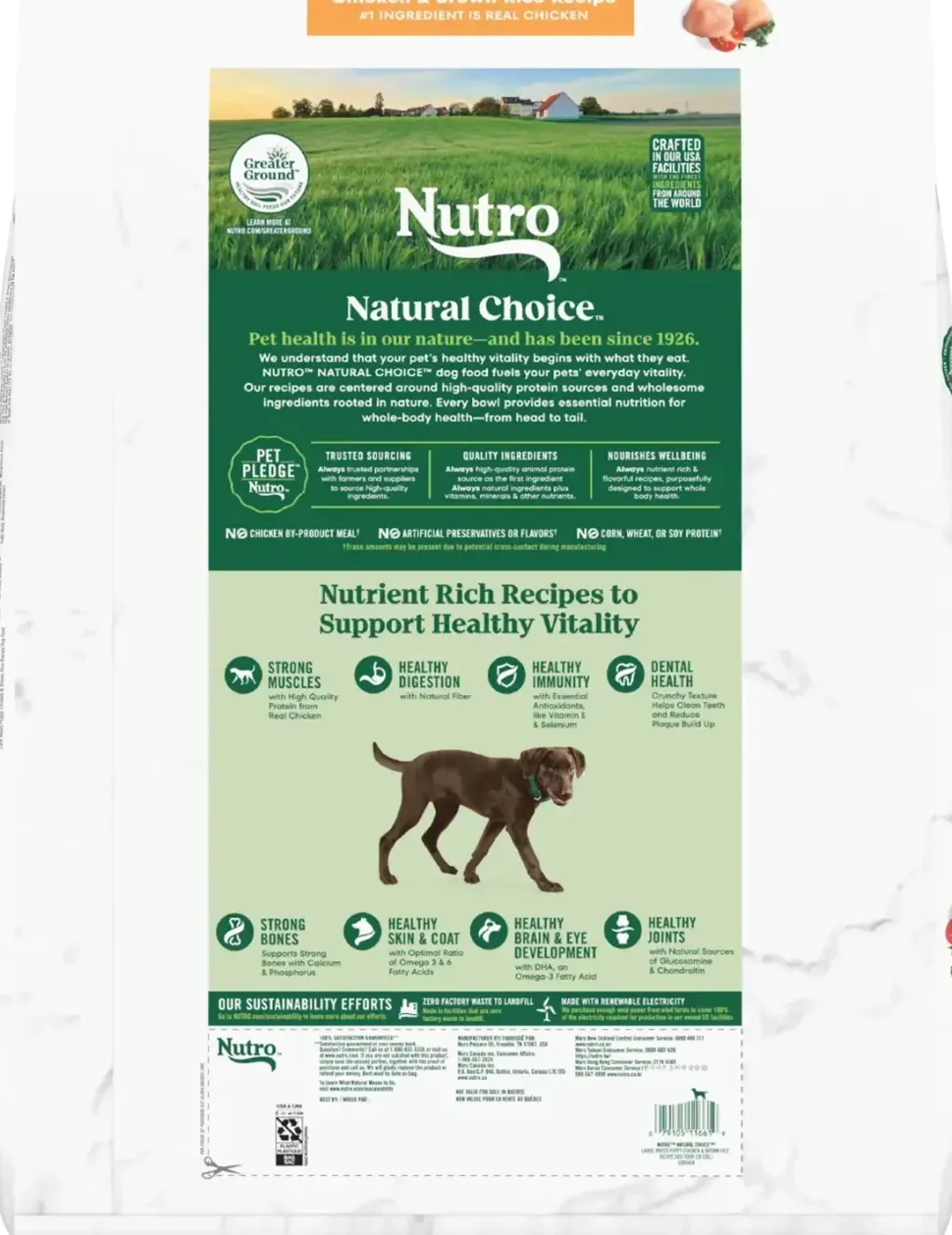 Nutro Natural Choice Chicken & Brown Rice Large Breed Puppy Dry Dog Food 30-lb