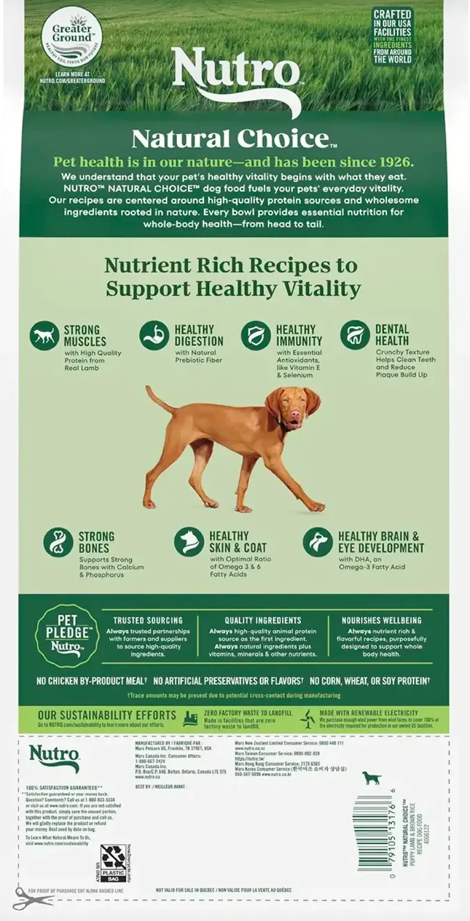 Nutro Natural Choice Lamb & Brown Rice Puppy Dry Food 4.5-lb