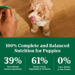 Nutro Natural Choice Lamb & Brown Rice Puppy Dry Food 4.5-lb