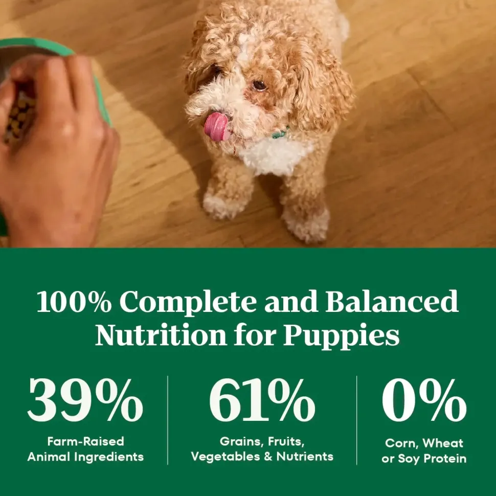 Nutro Natural Choice Lamb & Brown Rice Puppy Dry Food 4.5-lb
