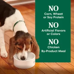 Nutro Natural Choice Lamb & Brown Rice Puppy Dry Food 4.5-lb