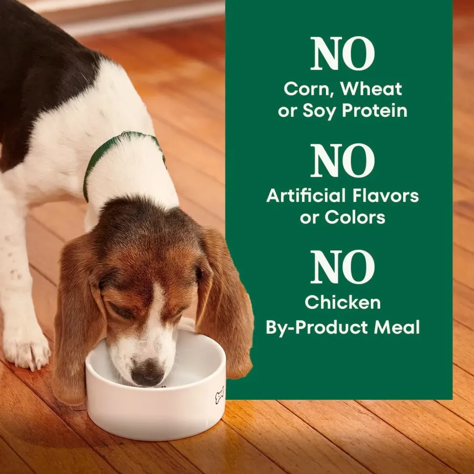 Nutro Natural Choice Lamb & Brown Rice Puppy Dry Food 4.5-lb