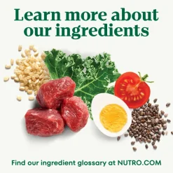 Nutro Natural Choice Lamb & Brown Rice Healthy Weight Adult Dry Dog Food 30-lb
