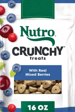 Nutro Natural Choice Mixed Berry Crunchy Dog Treats 16-oz