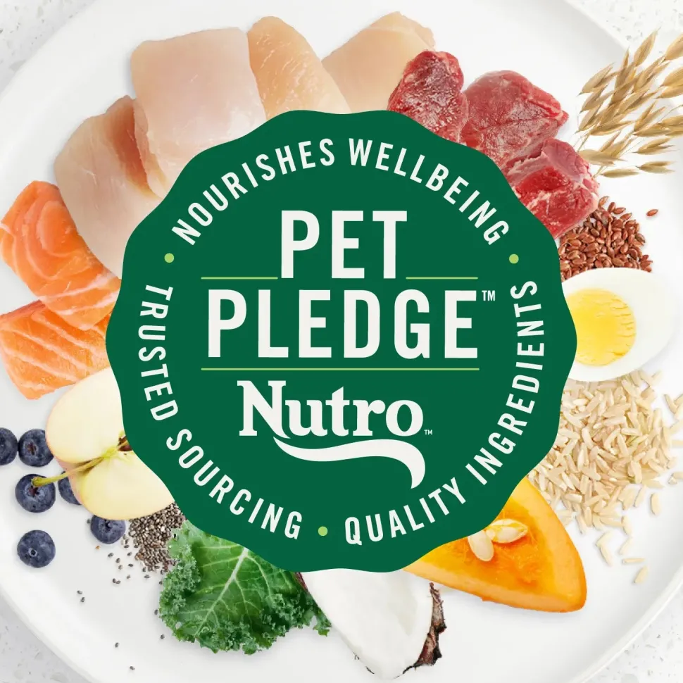 Nutro Ultra Small Breed Adult Dry Dog Food Chicken, Lamb & Salmon Plate 3.5-lb