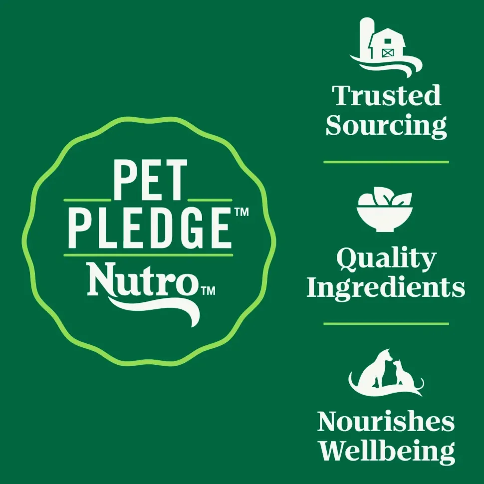 Nutro Wholesome Essentials Chicken & Brown Rice Hairball Control Adult Dry Cat Food 3-lb