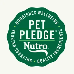 Nutro Wholesome Essentials Chicken & Brown Rice Early Development Kitten Dry Cat Food 5-lb