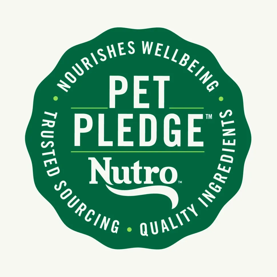 Nutro Wholesome Essentials Chicken & Brown Rice Early Development Kitten Dry Cat Food 5-lb