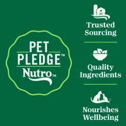 Nutro Wholesome Essentials Chicken & Brown Rice Early Development Kitten Dry Cat Food 5-lb
