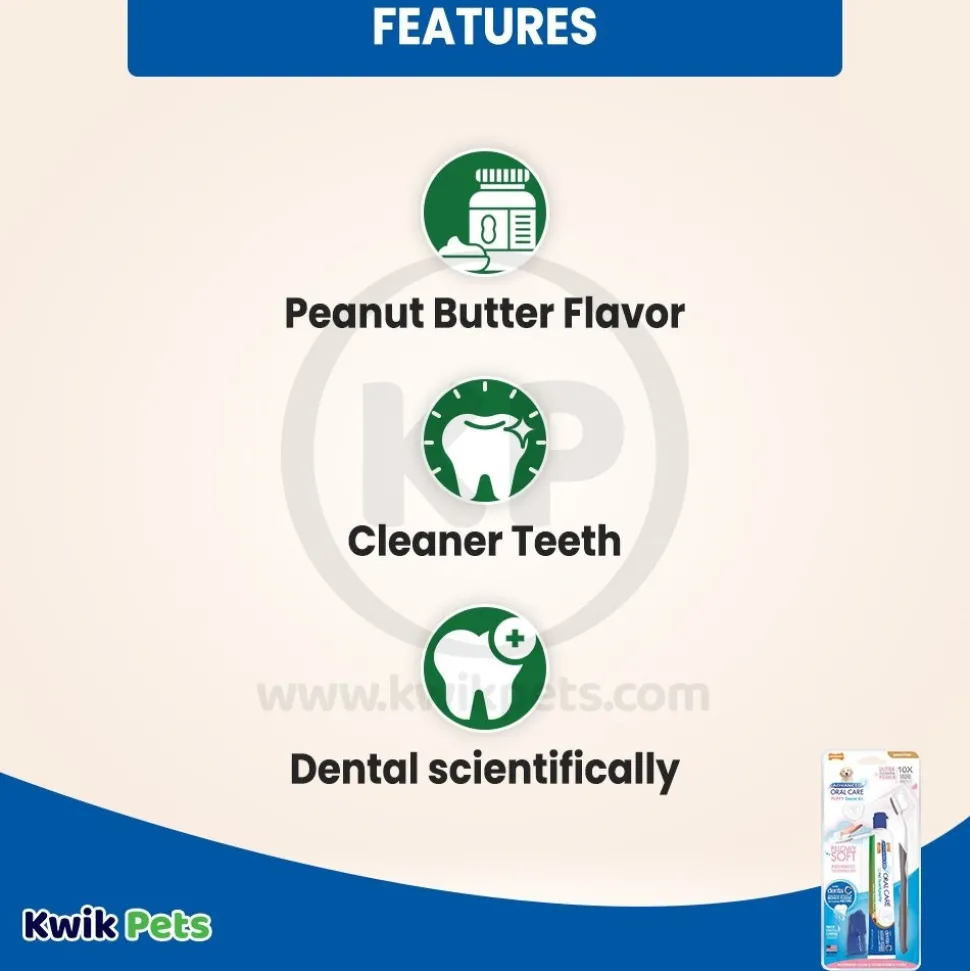 Nylabone Advanced Oral Care Puppy Dental Kit with Pillowy Soft-Bristle Toothbrush Peanut Butter 2.5-oz 3 Count