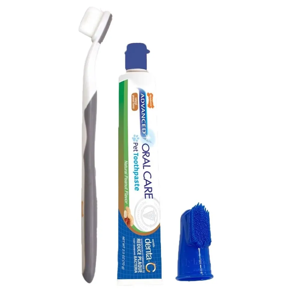 Nylabone Advanced Oral Care Puppy Dental Kit with Pillowy Soft-Bristle Toothbrush Peanut Butter 2.5-oz 3 Count