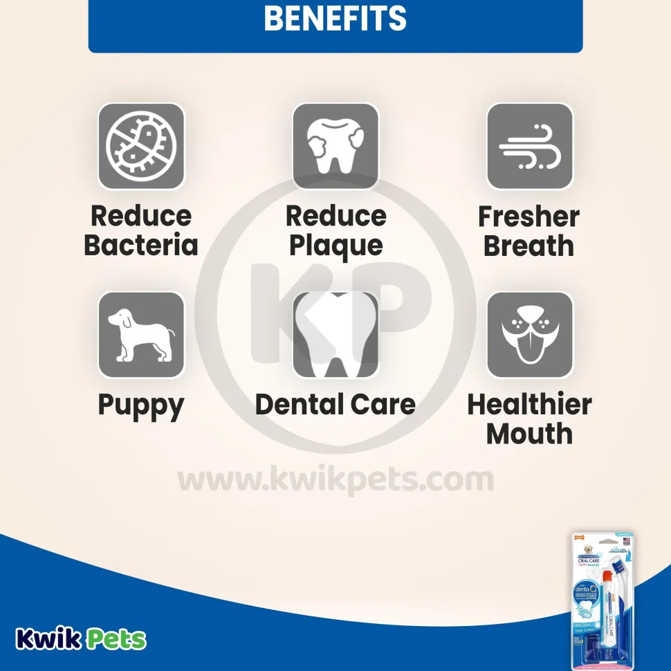 Nylabone Advanced Oral Care Puppy Dental Kit Original 2.5-oz 3 Count