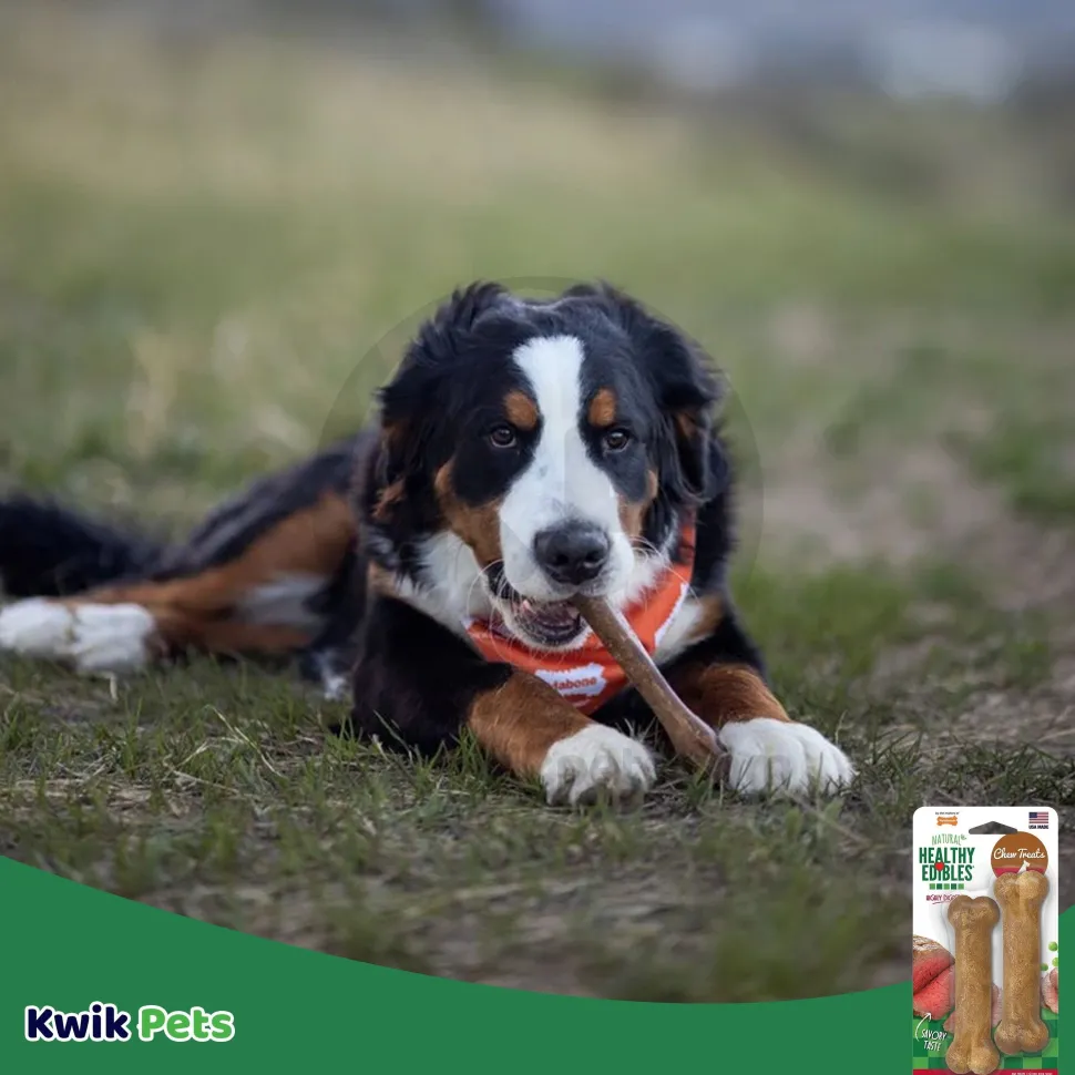 Nylabone Healthy Edibles All-Natural Long Lasting Dog Chew Treats Roast Beef XS/Petite - Up To 15 lbs 2 Count