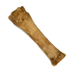 Nylabone Healthy Edibles All-Natural Long Lasting Chew Dog Treats Bacon Souper 50+ lbs