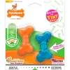 Nylabone Moderate FlexiChew Bone Dog Toy Peanut Butter & Bacon XXS/Tiny - Up To 8 lbs 2 Count