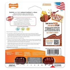 Nylabone Power Chew Basted Blast Dual Flavored Dog Toys Bacon & Steak XS/Petite - Up To 15 lbs 2 Count