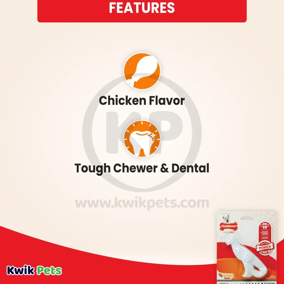 Nylabone Power Chew Dental Dinosaur Dog Toy Chicken White Small/Regular - Up To 25 Ibs