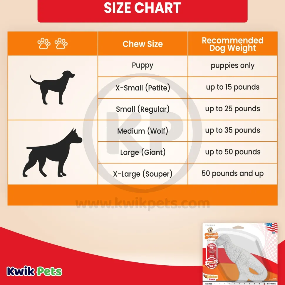 Nylabone Power Chew Dental Dinosaur Dog Toy Chicken White Large/Giant - Up To 50 lbs