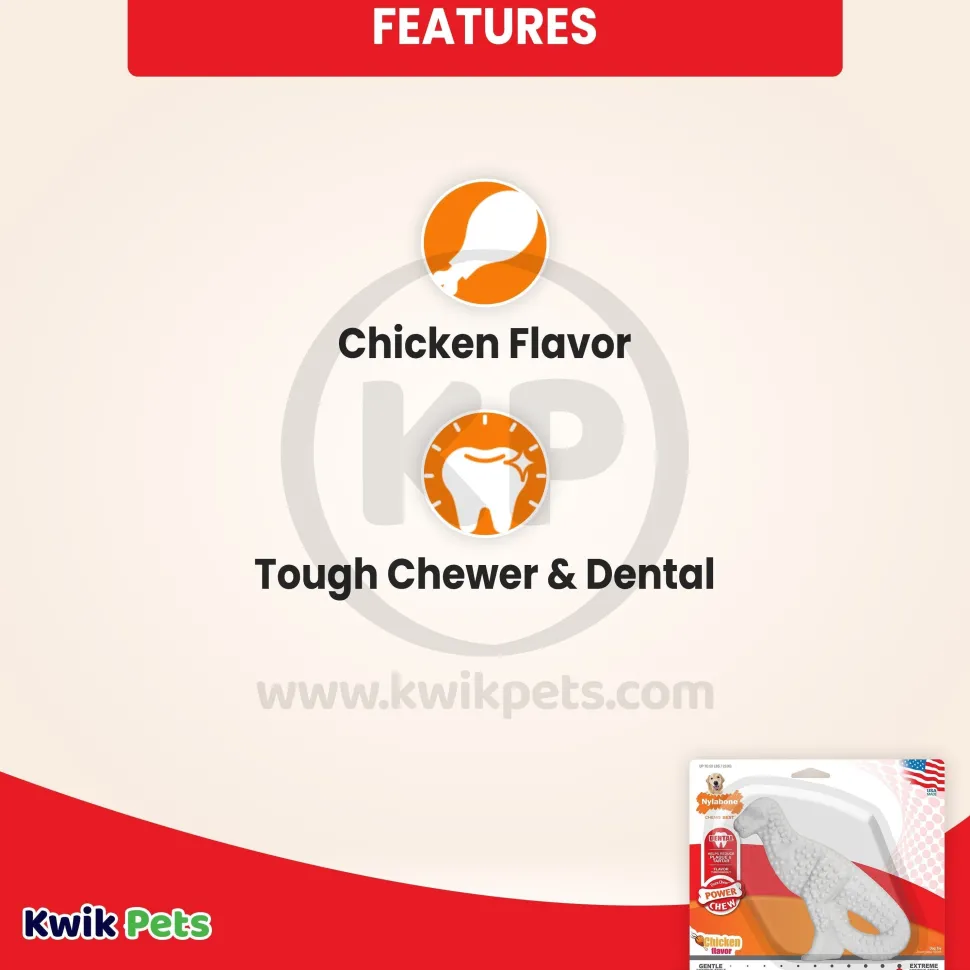 Nylabone Power Chew Dental Dinosaur Dog Toy Chicken White Large/Giant - Up To 50 lbs