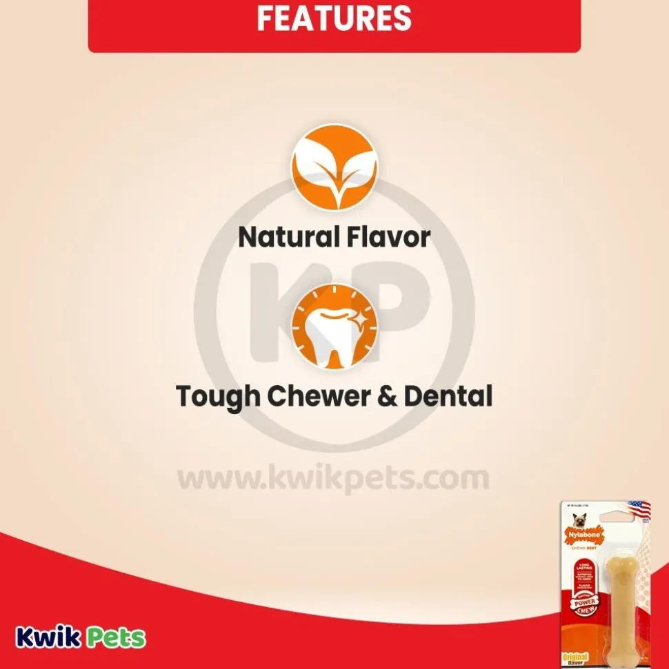 Nylabone Power Chew Dog Toy Original XS/Petite - Up To 15 lbs