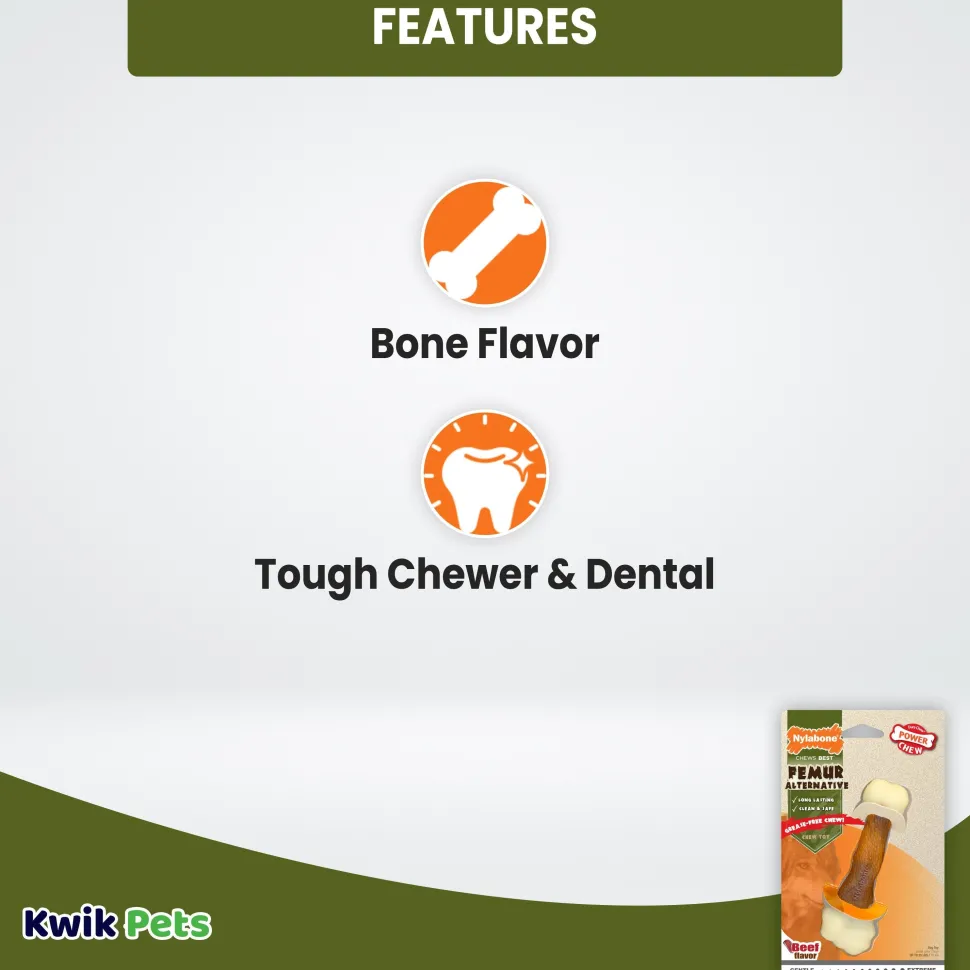 Nylabone Power Chew Femur Bone Alternative Dog Toy Beef Medium/Wolf - Up To 35 lbs