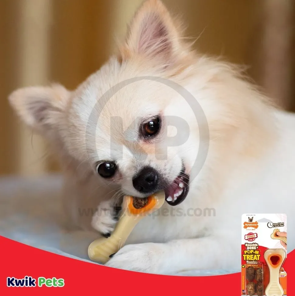 Nylabone Power Chew Knuckle Bone & Pop-In Treat Dog Toy Combo Chicken XS/Petite - Up To 15 lbs