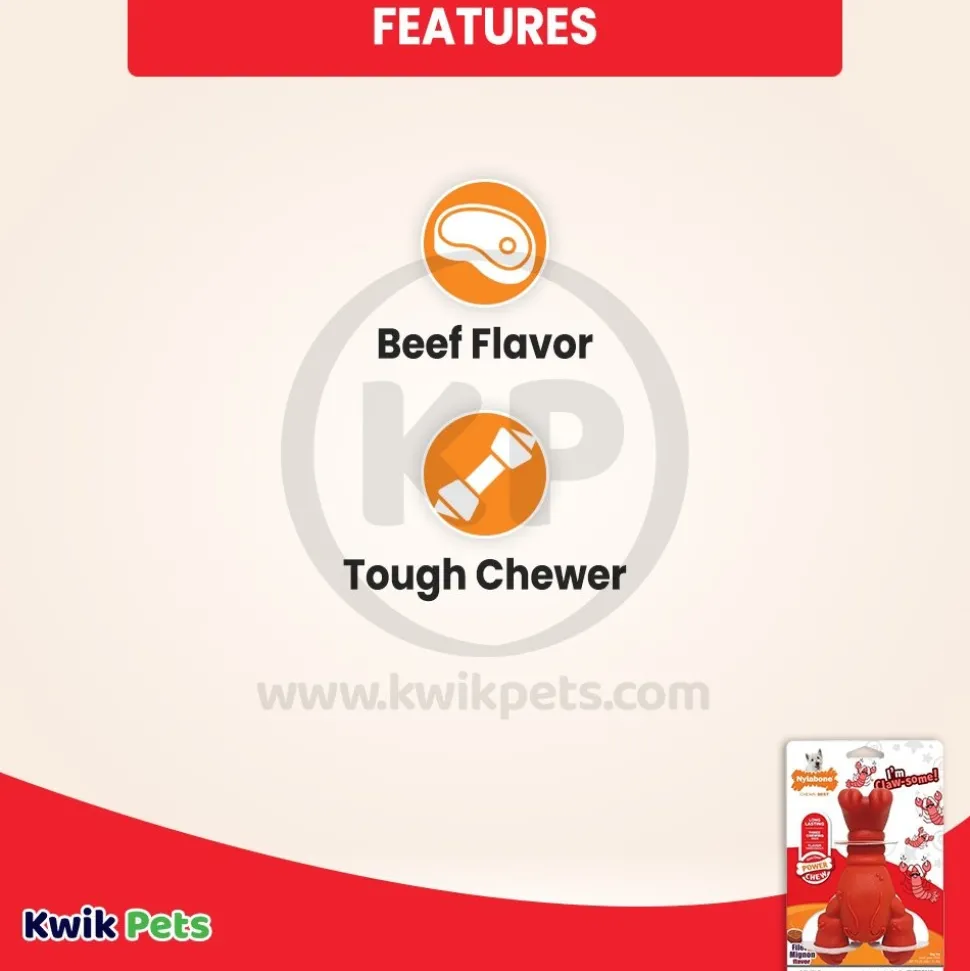 Nylabone Power Chew Lobster Dog Toy Filet Mignon Medium/Wolf - Up To 35 lbs