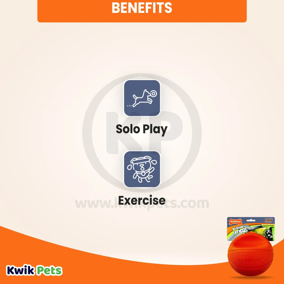 Nylabone Power Play Basketball B-Ball Gripz Dog Toy Large/Giant - Up To 50 lbs 6.5-in