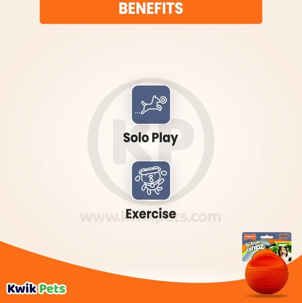 Nylabone Power Play Basketball B-Ball Gripz Dog Toy Medium/Wolf - Up To 35 lbs 4.5-in