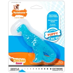 Nylabone Puppy Chew Dental Dinosaur Toy for Teething Chicken Flavor Small/Regular - Up To 25 Ibs