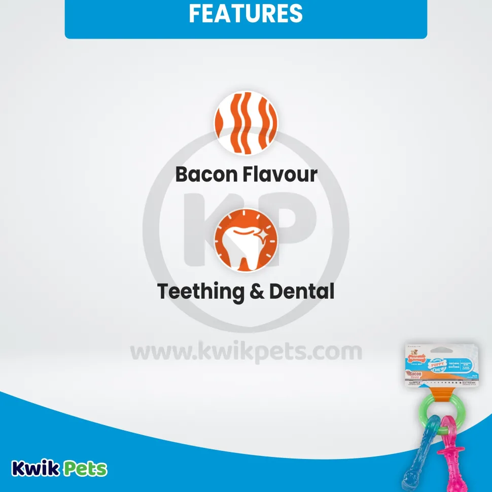 Nylabone Puppy Chew Teething Pacifier Toy Bacon Small/Regular - Up To 25 lbs