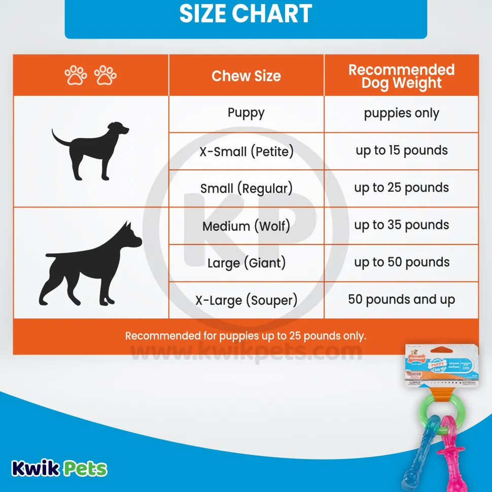 Nylabone Puppy Chew Teething Pacifier Toy Bacon Small/Regular - Up To 25 lbs