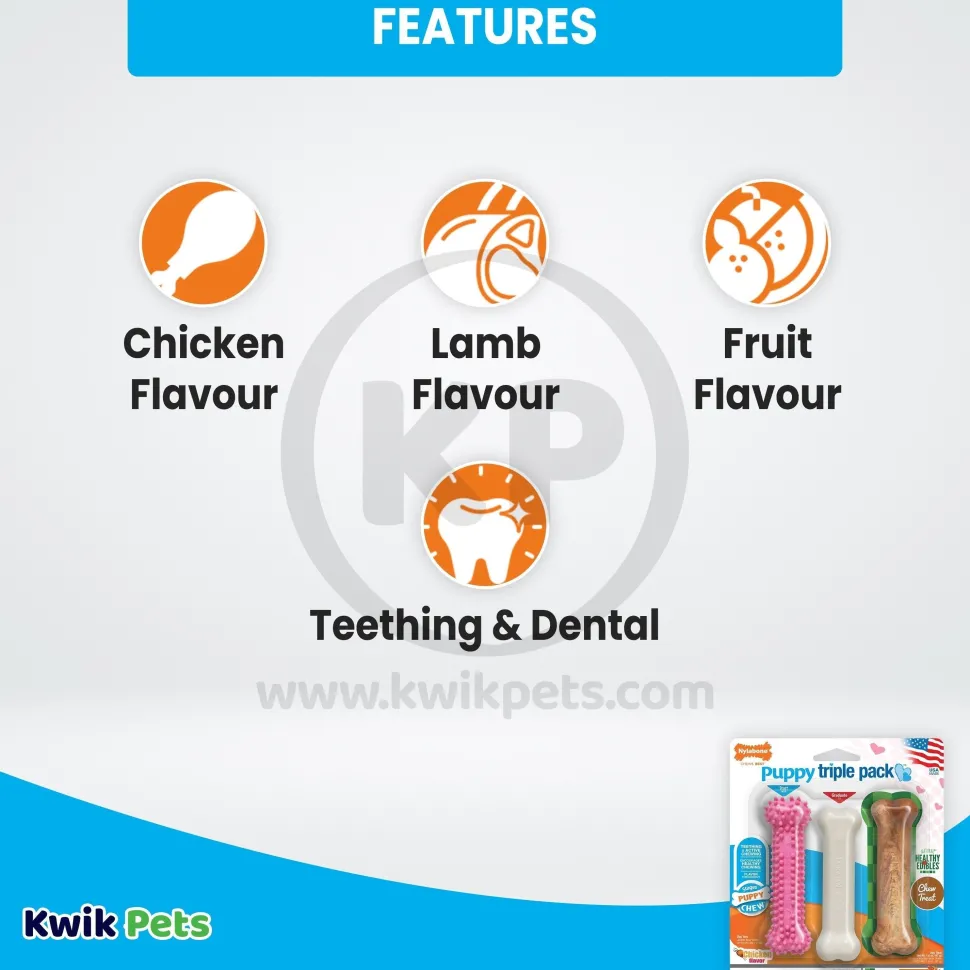 Nylabone Puppy Chew Toy & Treat Variety Triple Pack Chicken Starter Kit Small/Regular - Up To 25 Ibs 3 Count