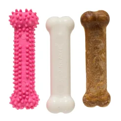 Nylabone Puppy Chew Toy & Treat Variety Triple Pack Chicken Starter Kit Small/Regular - Up To 25 Ibs 3 Count