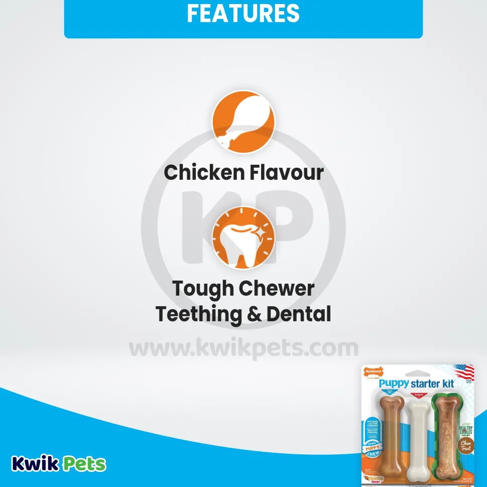 Nylabone Puppy Starter Kit Dog Chew Toys & Treat Chicken & Bacon Small/Regular - Up To 25 Ibs 3 Count