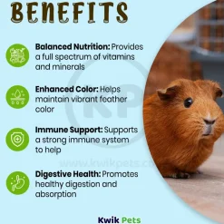 Oasis Vita-Drops High Potential Daily Multivitamin for Hamsters & Pocket Pets 2-oz