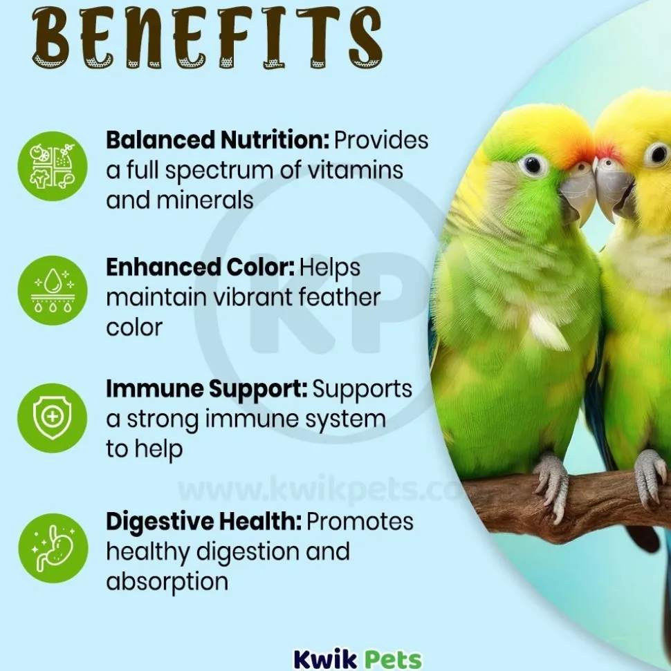 Oasis Vita Drops Multivitamin Supplement for Small Birds 2-oz