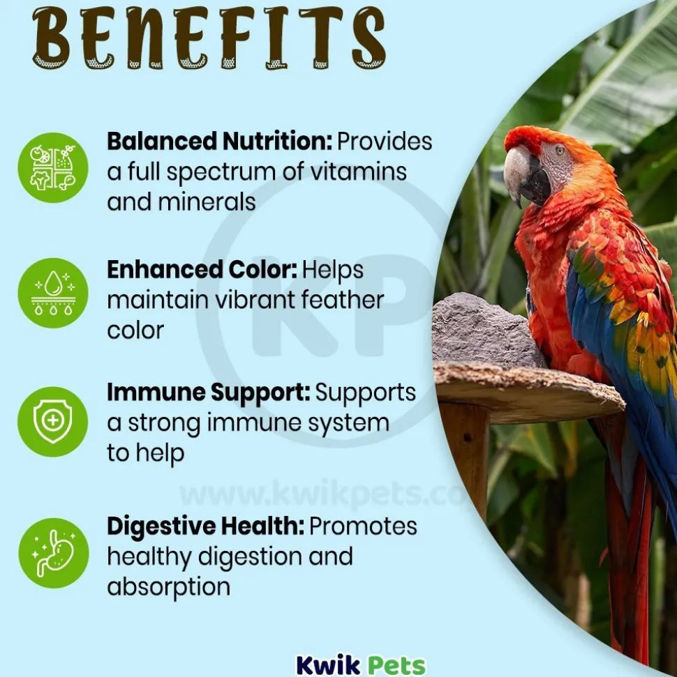 Oasis VITA E-Z-MIST Multivitamin Spray for Big Birds 2-oz