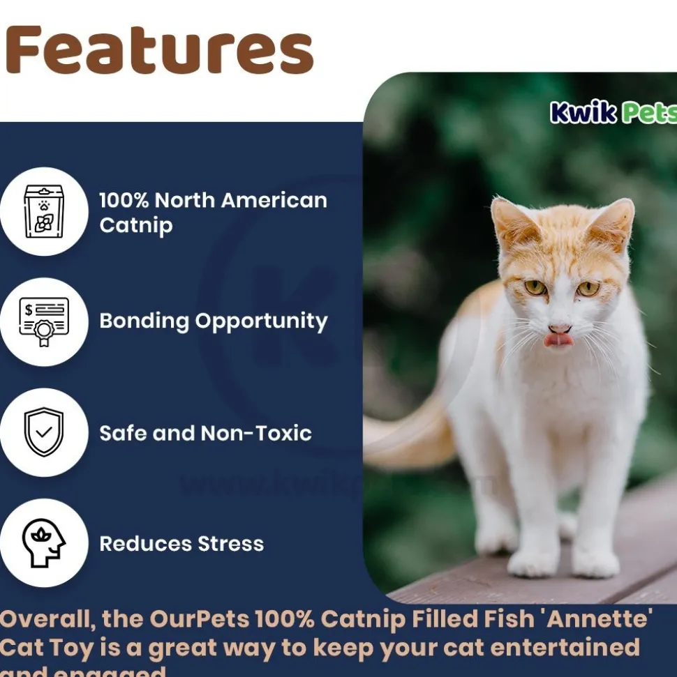 OurPets 100% Catnip Filled Fish 'Annette' Cat Toy Blue