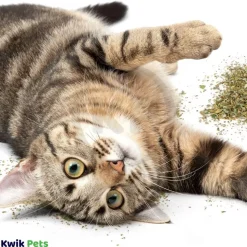 OurPets Cosmic 100% Natural Catnip Jar 2.25-oz