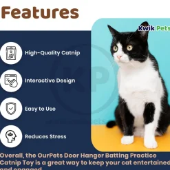 OurPets Door Hanger Batting Practice Catnip Toy Brown One Size