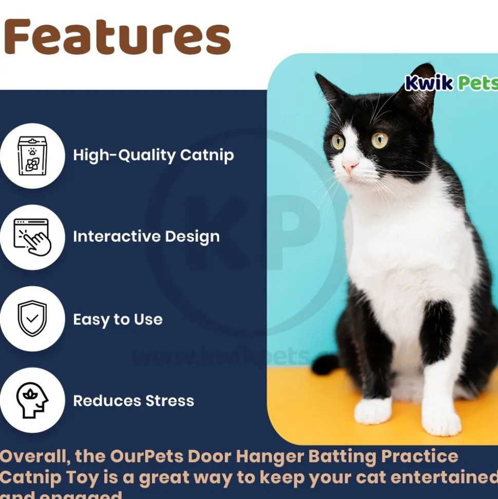 OurPets Door Hanger Batting Practice Catnip Toy Brown One Size