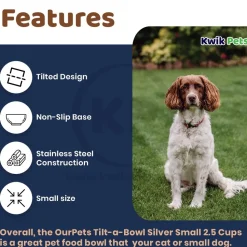 OurPets Durapet Premium Rubber Bonded Stainless Steel Cat Bowl Silver 8-oz