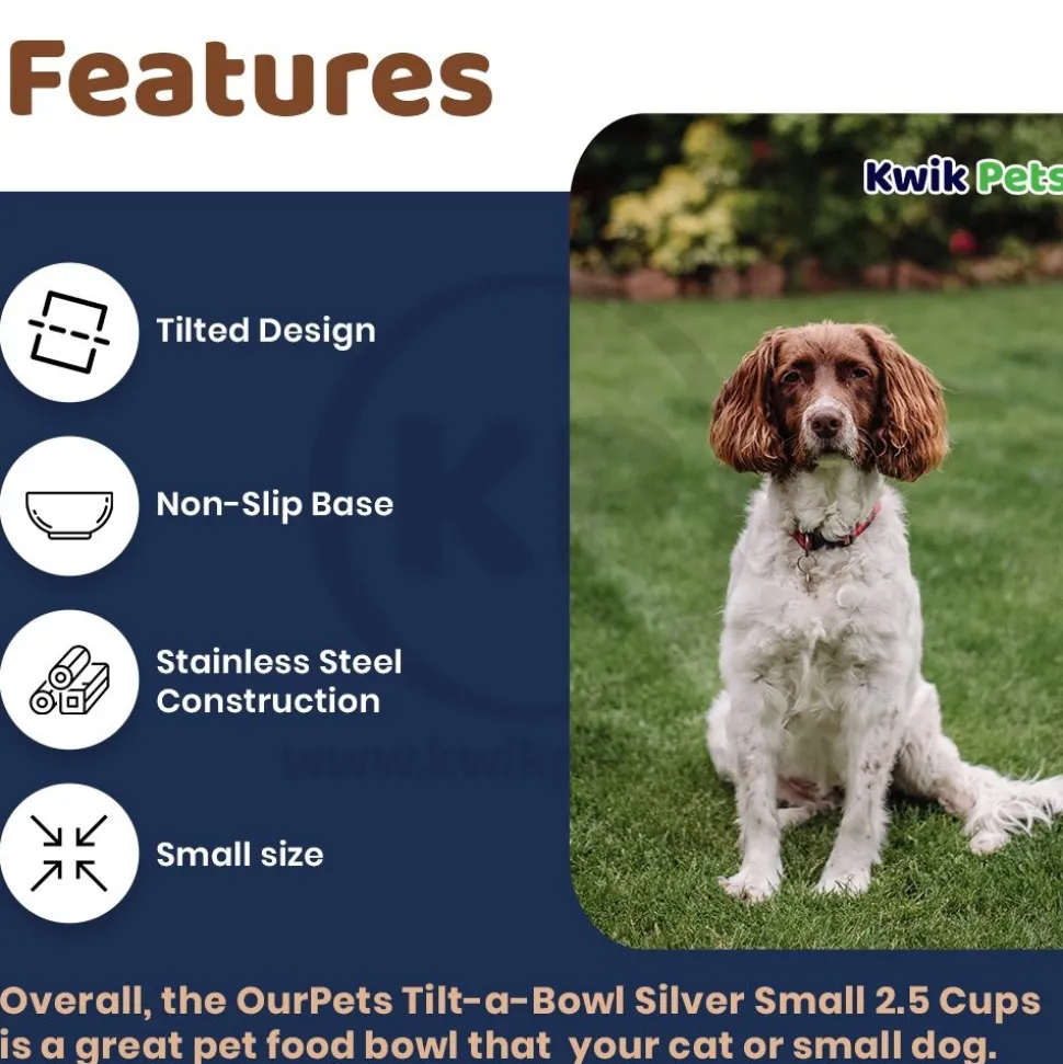 OurPets Durapet Premium Rubber Bonded Stainless Steel Cat Bowl Silver 8-oz