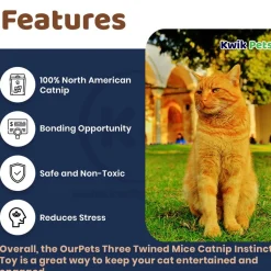 OurPets Play-N-Squeak Real Mouse Shake y'r Tail Feather Cat Toy